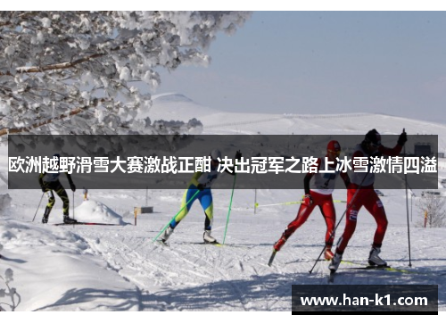 欧洲越野滑雪大赛激战正酣 决出冠军之路上冰雪激情四溢