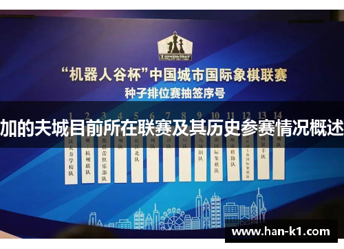 加的夫城目前所在联赛及其历史参赛情况概述